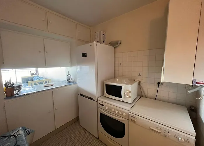 T3 Avec Balcon Et Parking, A Deux Pas De La - Fr-1-197-182 公寓